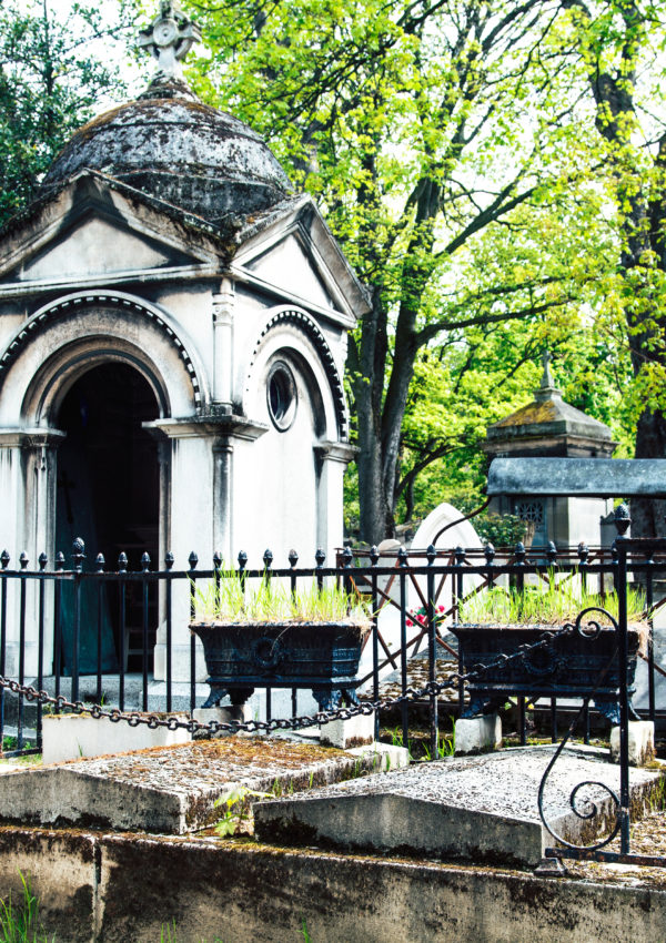 new orleans cemetery