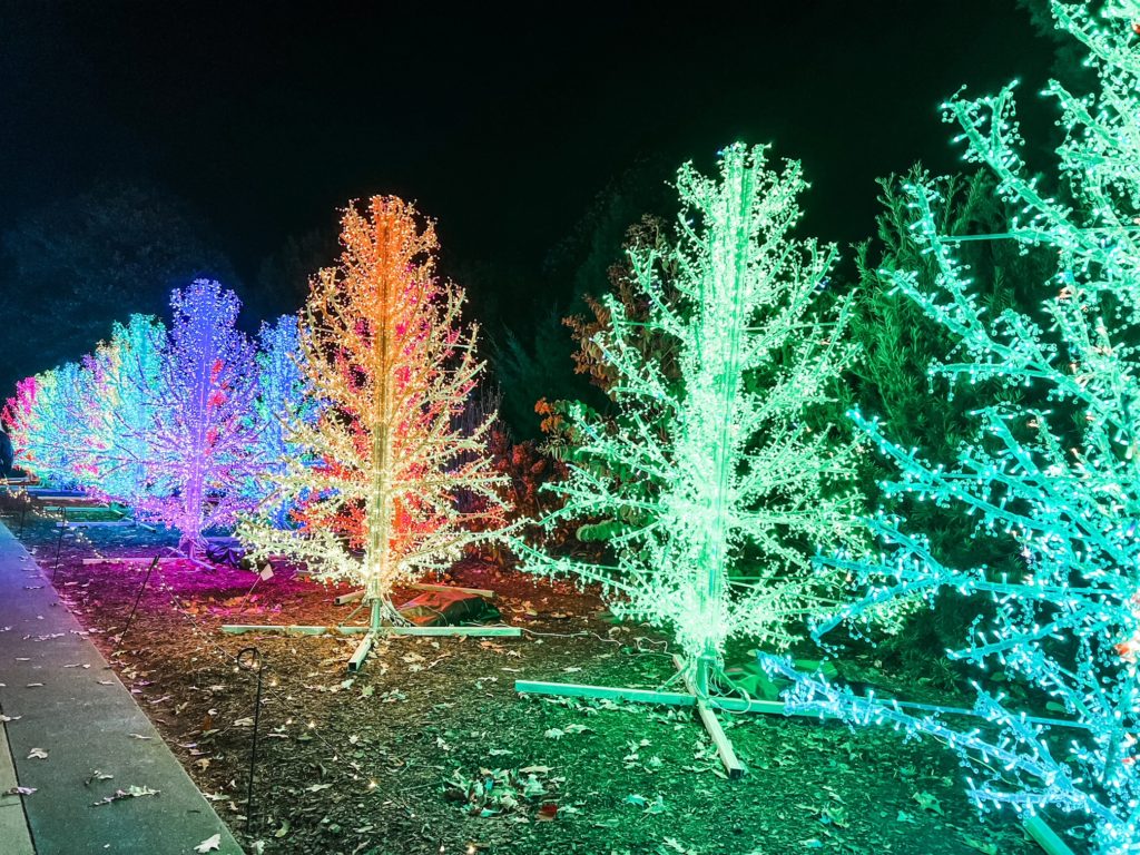 Holiday Lights Glowing Grove