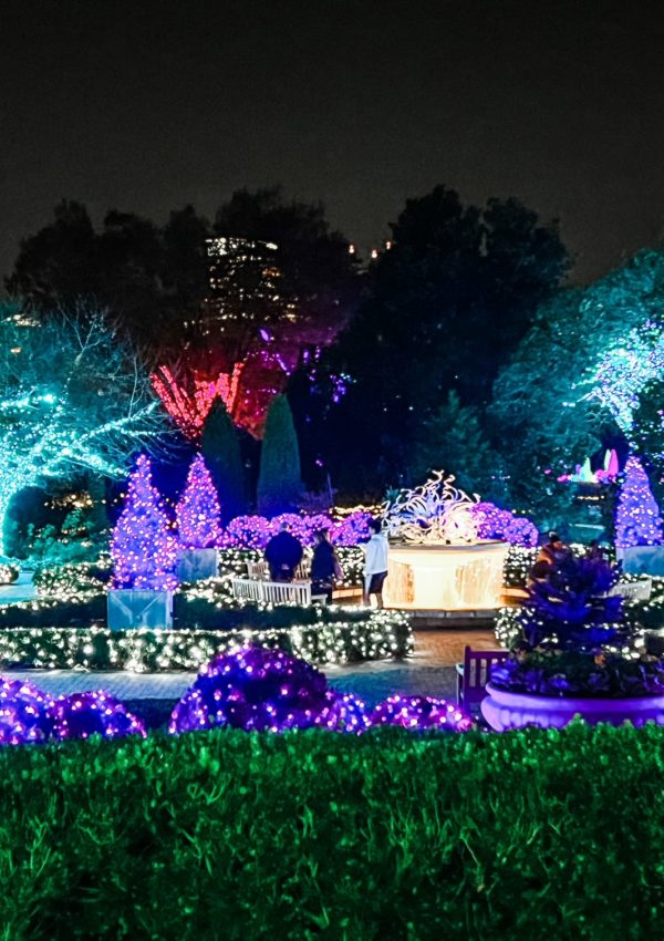 Things to do Holiday Lights Botanical Garden