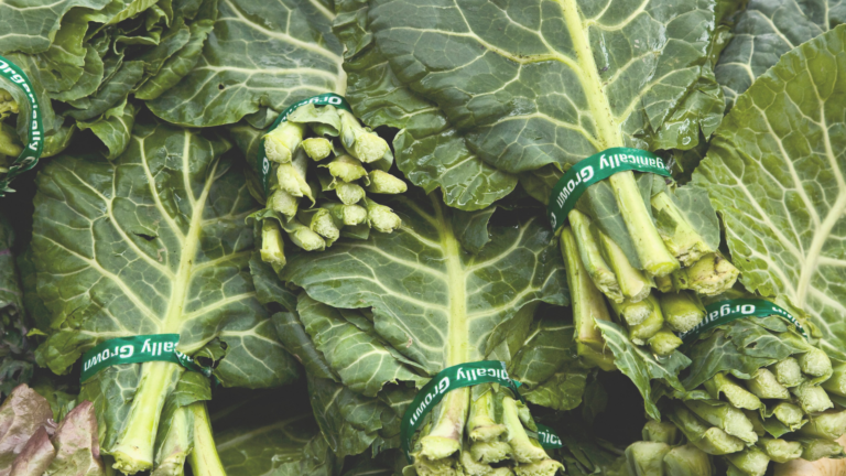 Discover Collard Greens Near You: A Guide to Local Varieties, Nutrition, and Recipes