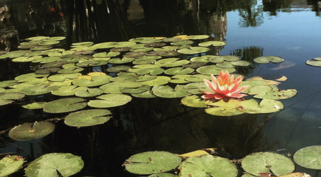 Balboa Botanical Garden