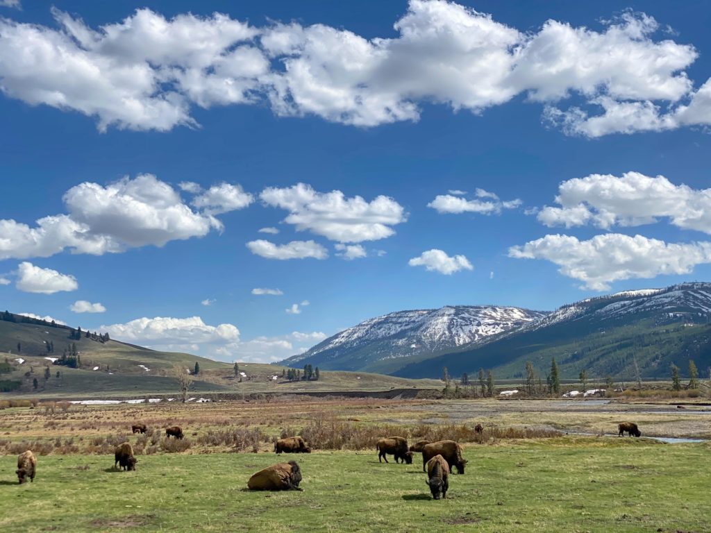 10 Quick Packing Tips for Summertime in Yellowstone