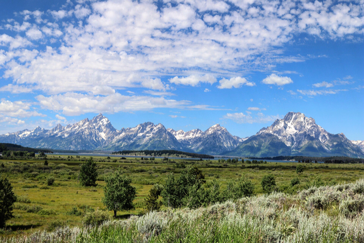 How to Plan an Epic Adventure in Yellowstone and Grand Teton