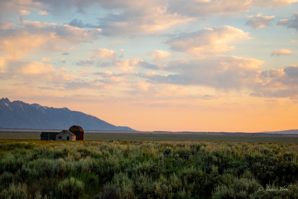 How to Plan an Epic Adventure in Yellowstone and Grand Teton