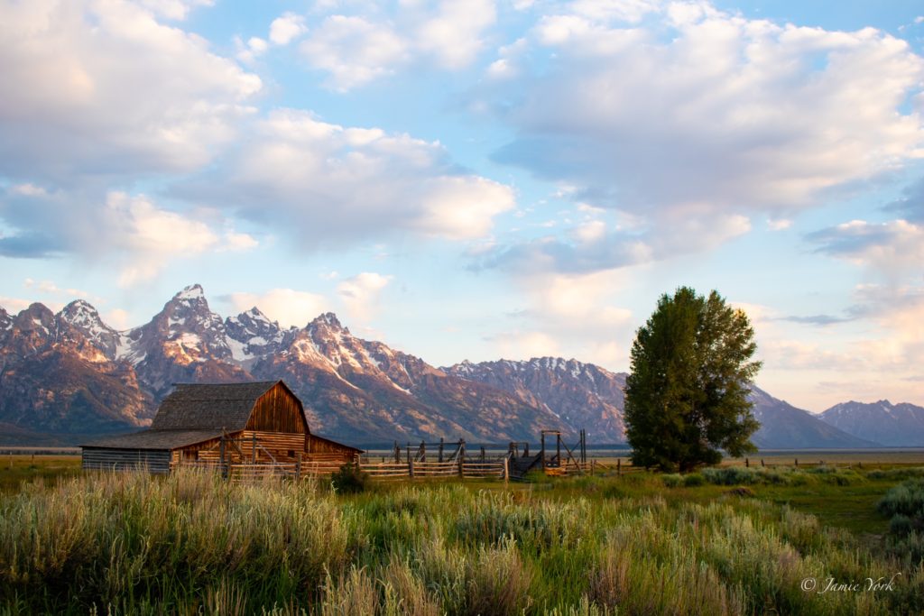 How to Plan an Epic Adventure in Yellowstone and Grand Teton